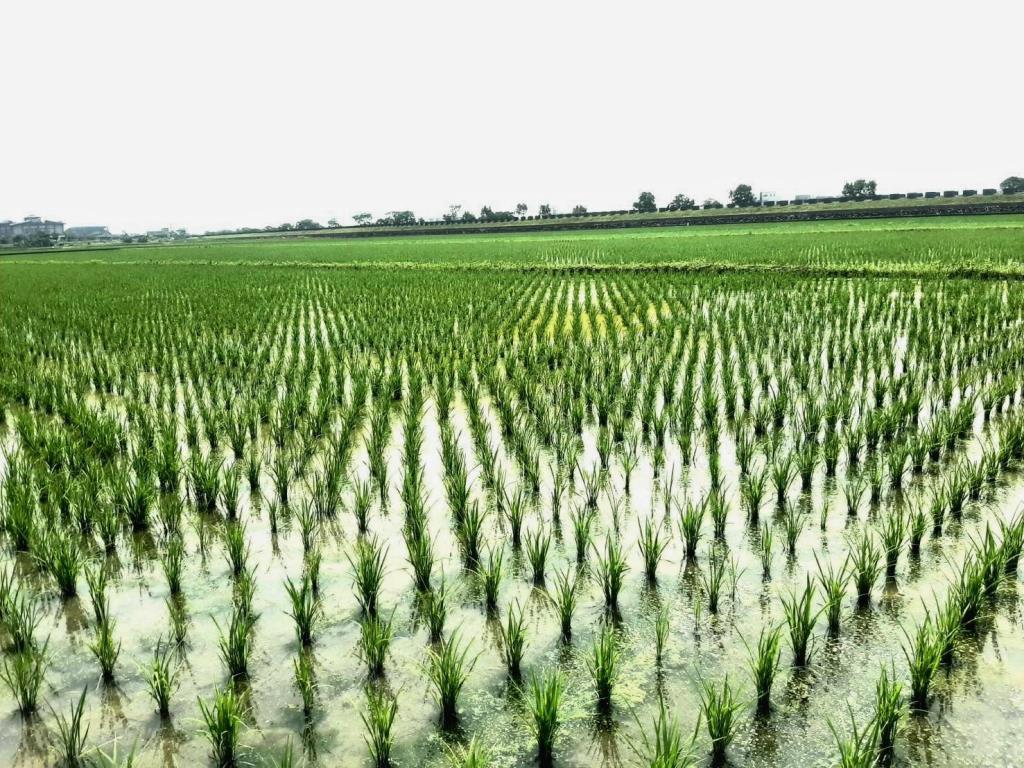 AC888壯圍便宜農地