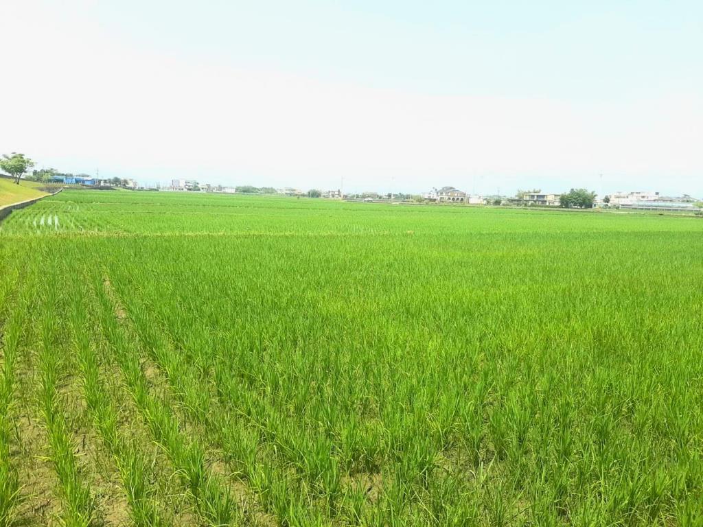 AC888壯圍便宜農地