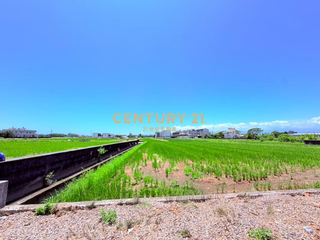 AC891宜市帶照已填土即可興建農地