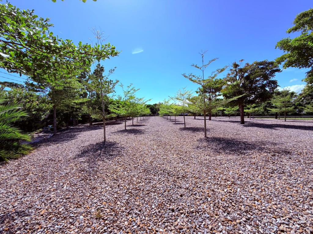 AC898頭城191甲旁大面寬農地