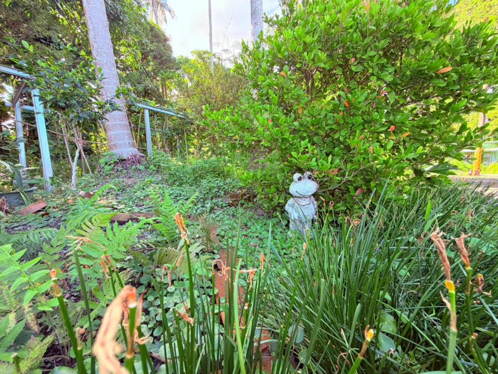 AC900頭城北宜景觀丙建美地