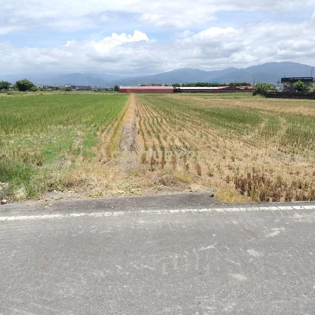 AC903壯圍壯東便宜保庇美農地