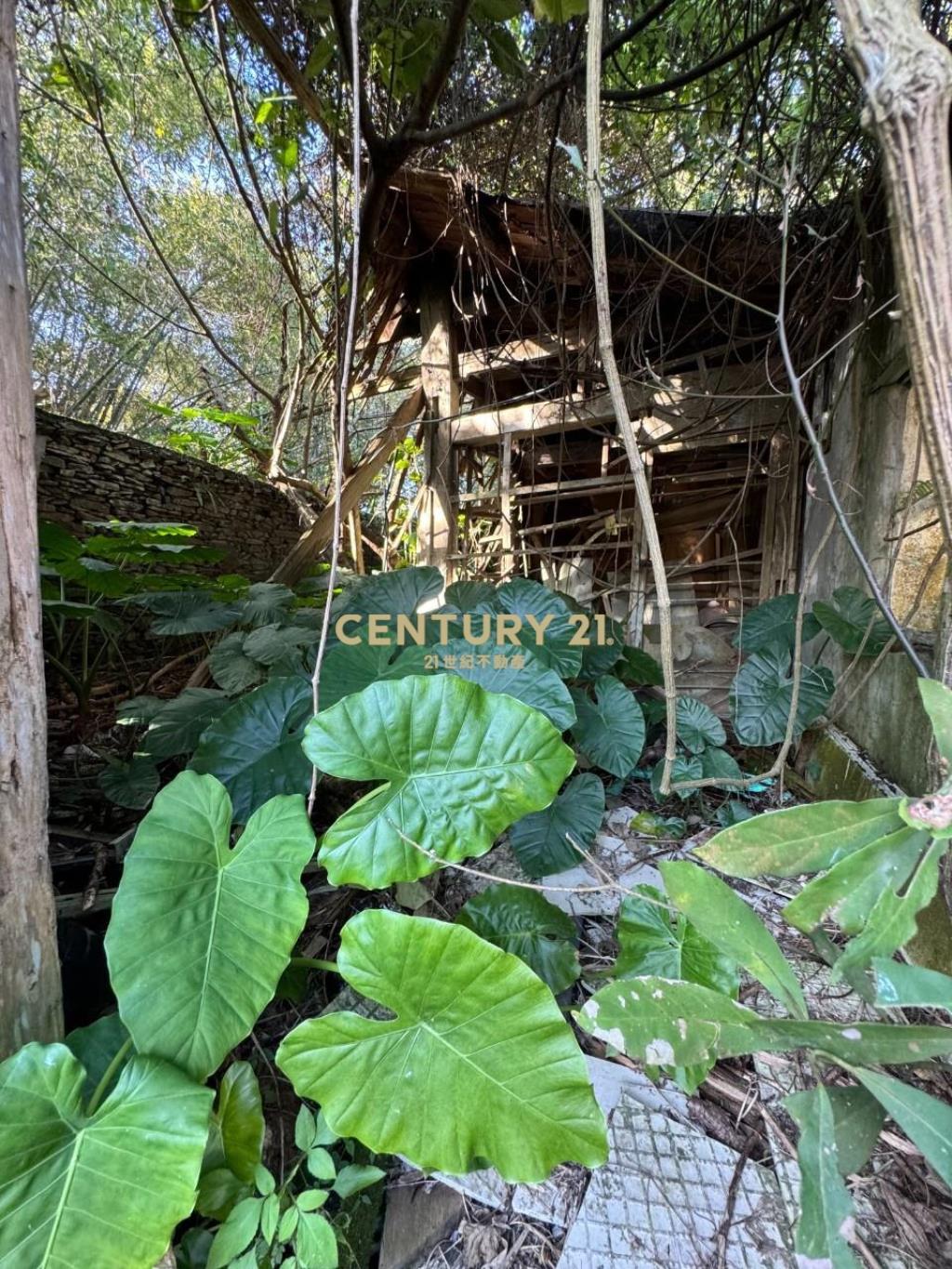 EB310冬山369投資美建地