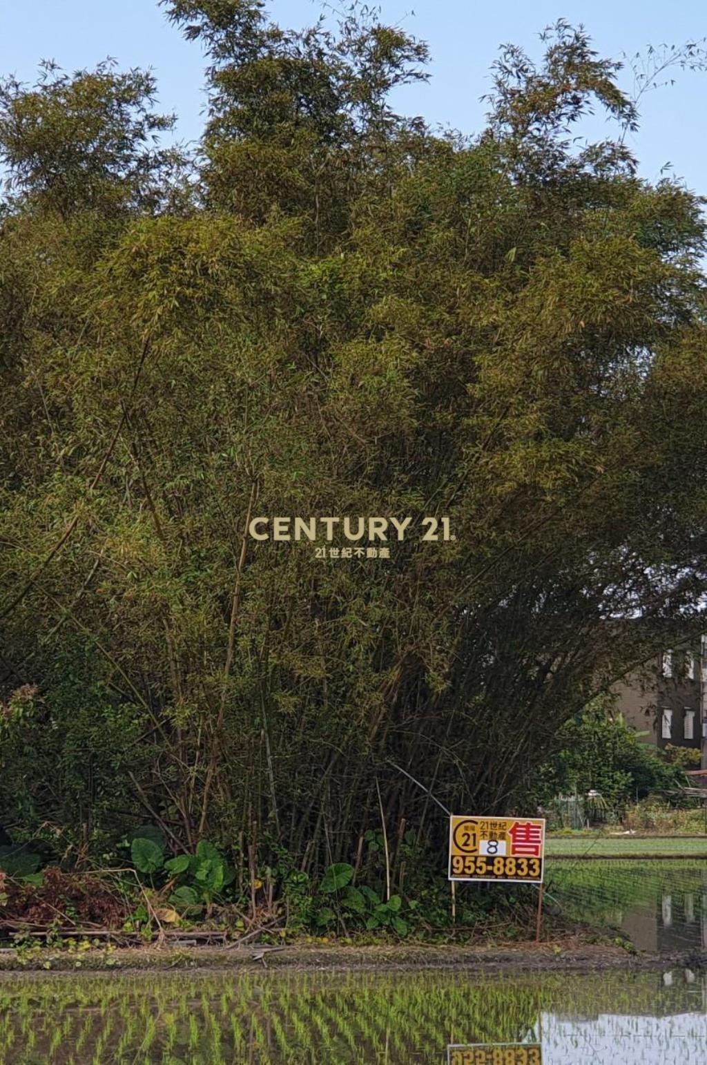 EB310冬山369投資美建地