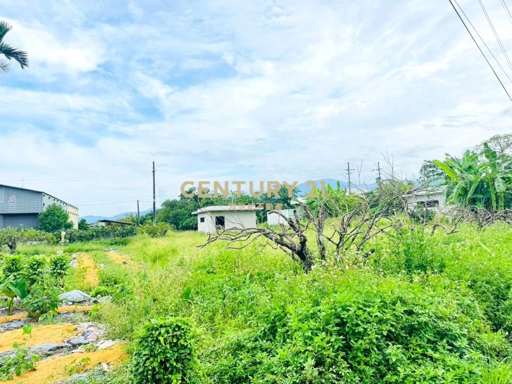 EE152近羅東河堤禾舍