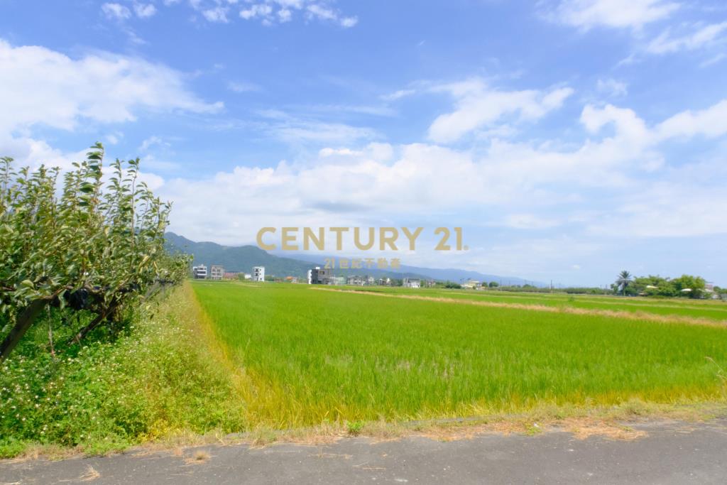 EC236梨園旁方正足坪美地