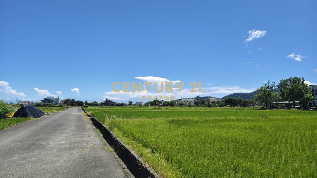 EC236梨園旁方正足坪美地