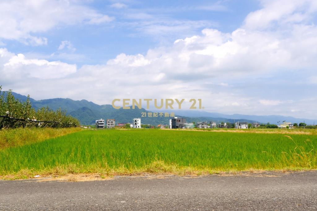 EC236梨園旁方正足坪美地