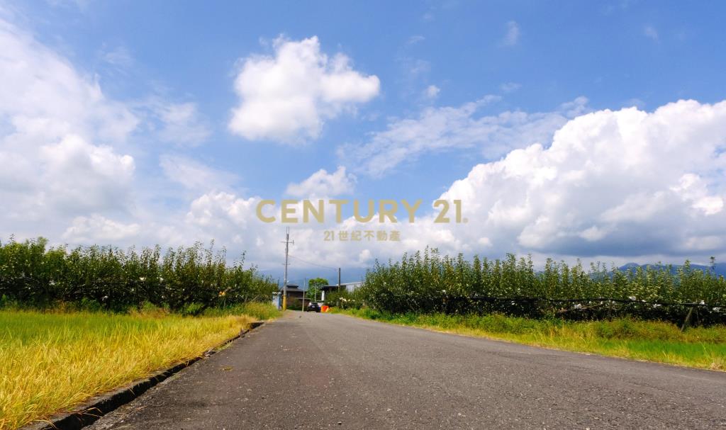 EC236梨園旁方正足坪美地