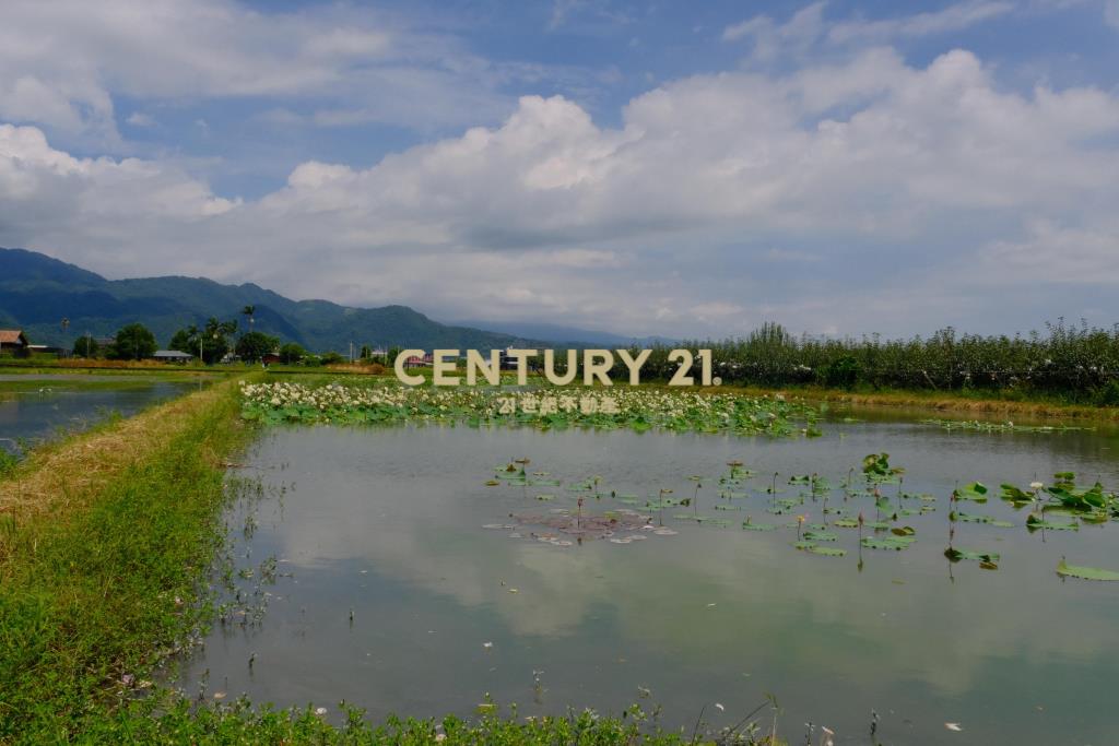 EC236梨園旁方正足坪美地