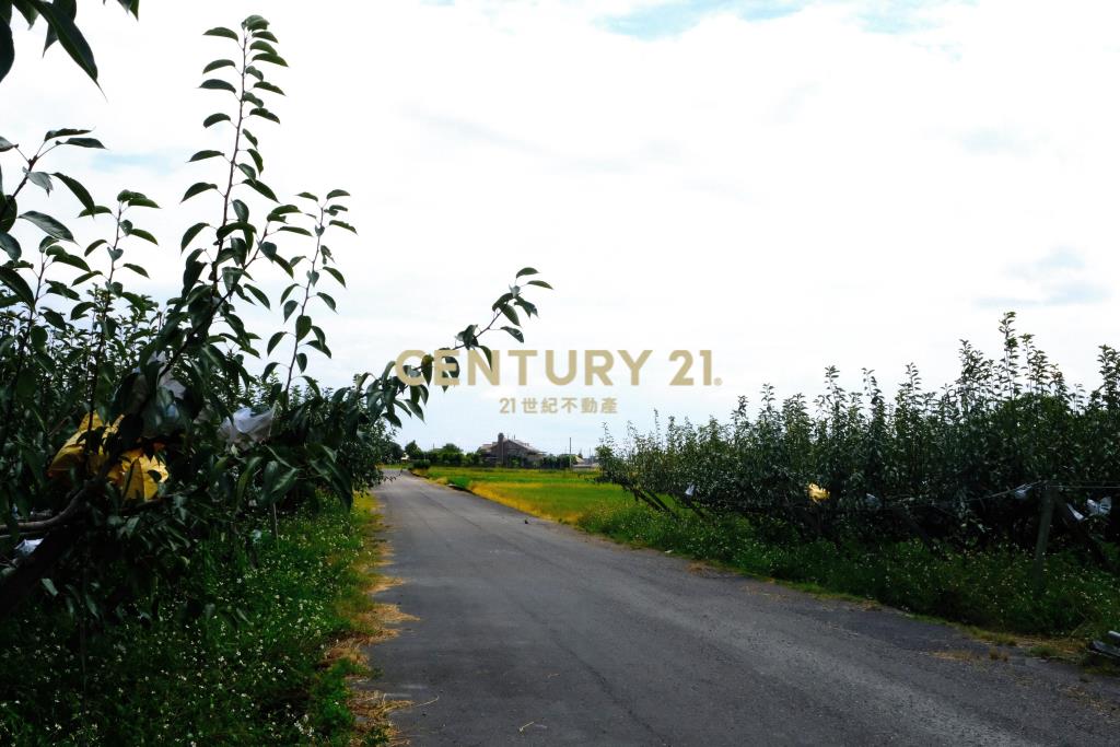 EC236梨園旁方正足坪美地