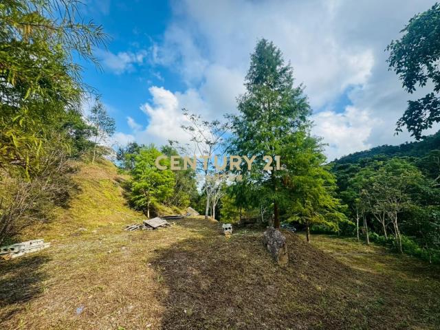 EC243寒溪千坪原保地