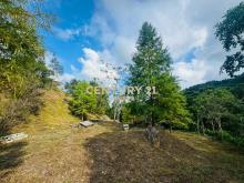 EC243寒溪千坪原保地