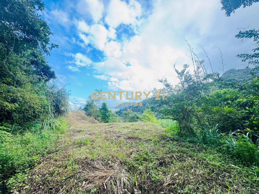 EC243寒溪千坪原保地