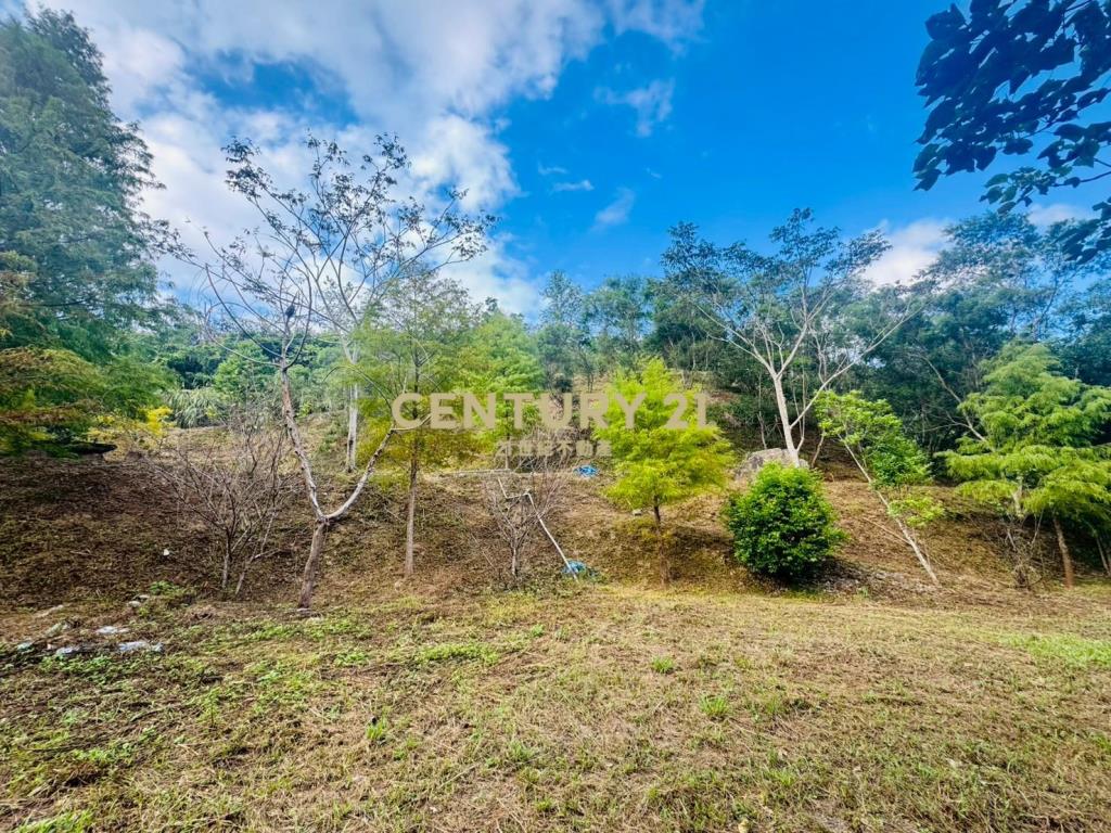 EC243寒溪千坪原保地