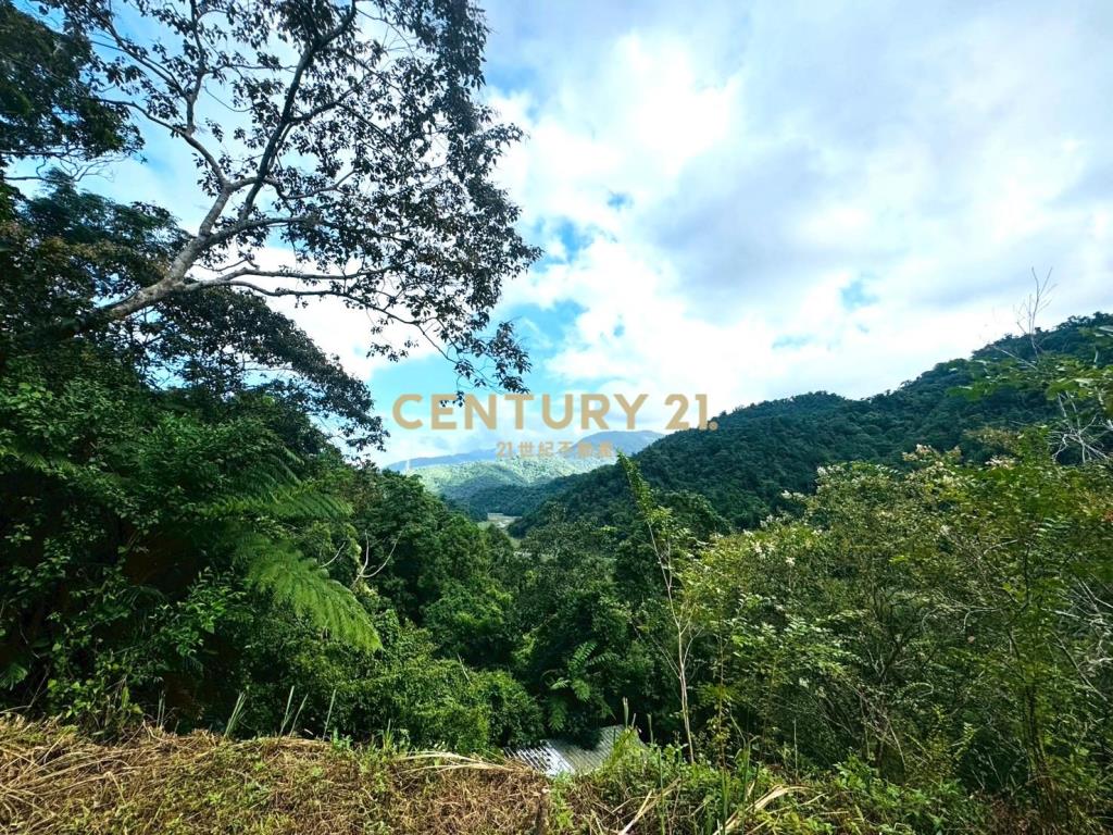 EC243寒溪千坪原保地