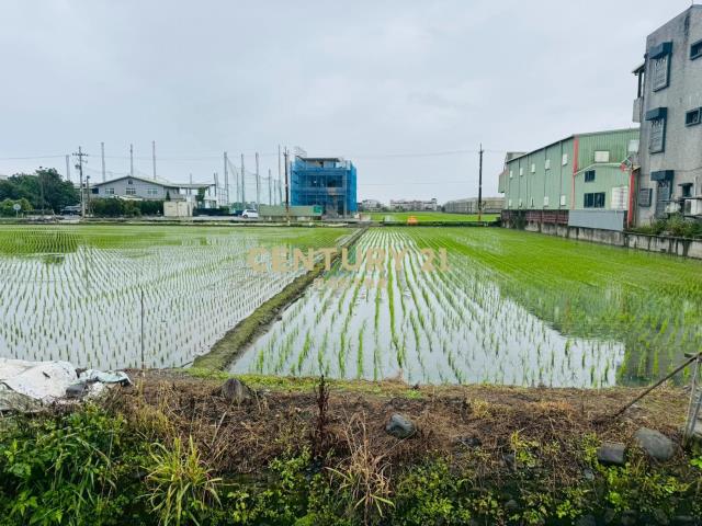 EC246近國五方正小農地