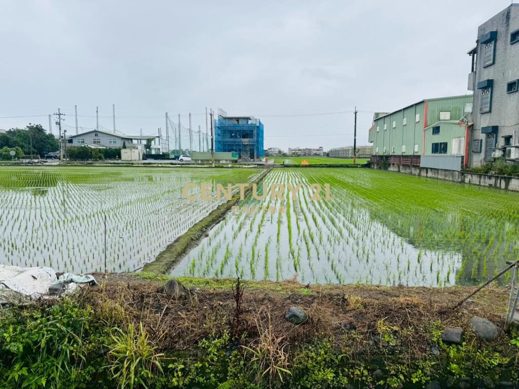 EC246近國五方正小農地