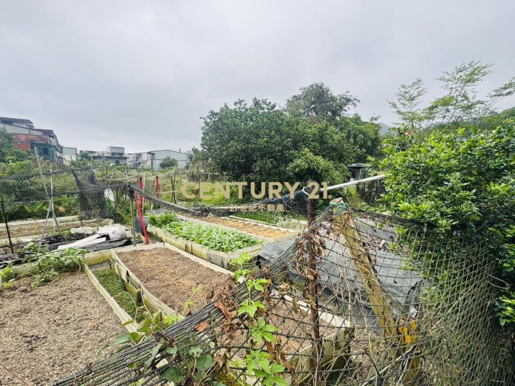 ED091聖湖大面寬建地