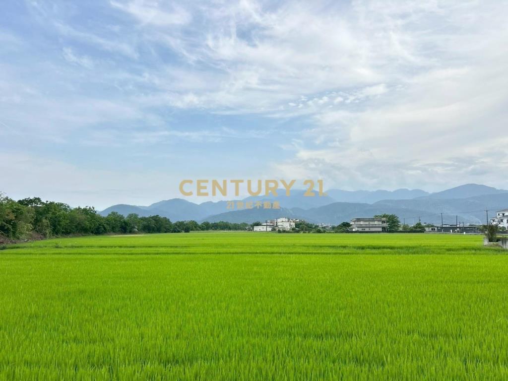 EB372冬山近國道全新別墅