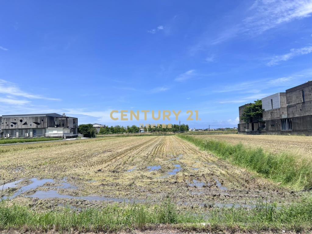EC253冬山小農地