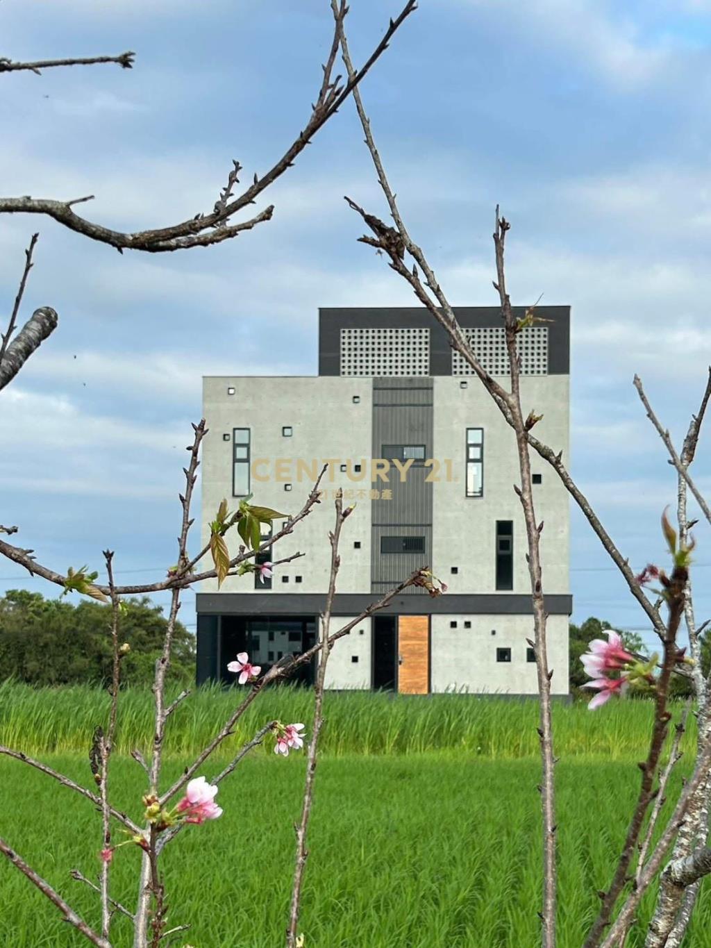 EE175大湖景美價優全新電梯農舍