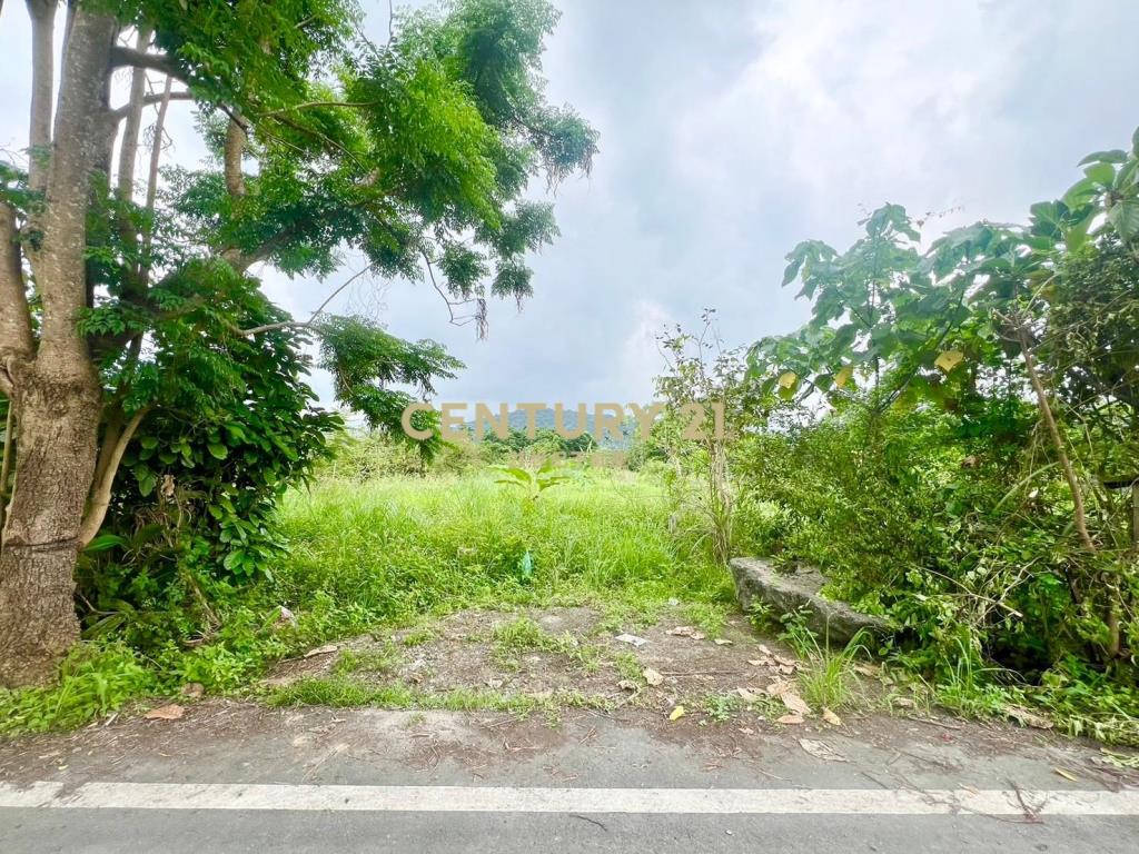 BC771台2庚延長線旁小農地