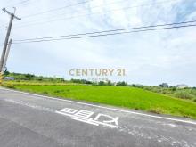 GC382枕山足坪漂亮農地