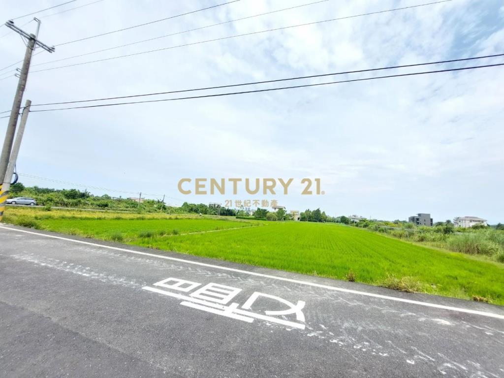 GC382枕山足坪漂亮農地