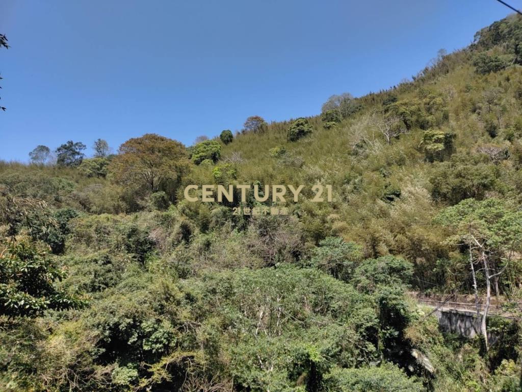 BC795臨近桃園市大漢溪山坡地