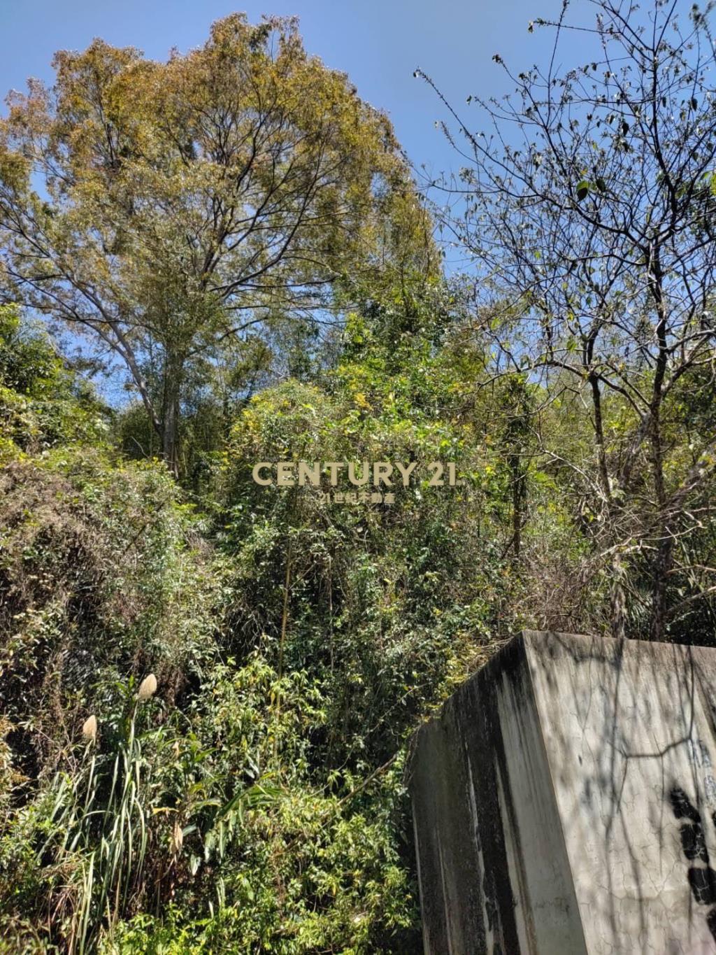 BC795臨近桃園市大漢溪山坡地