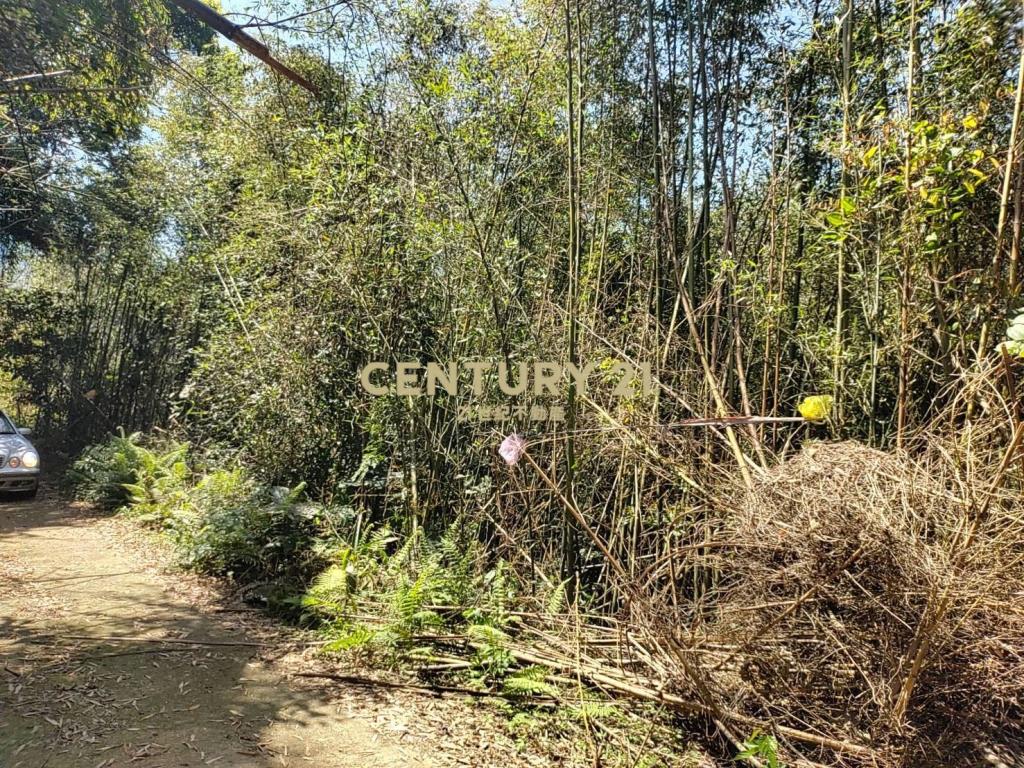 BC796桃園低總價高報酬原民地