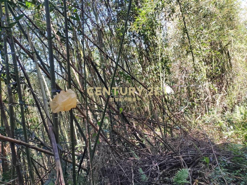 BC796桃園低總價高報酬原民地