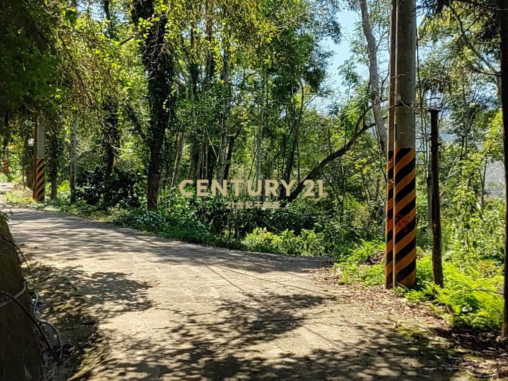 BC796桃園低總價高報酬原民地