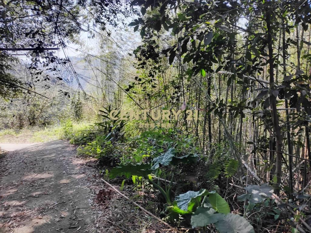 BC796桃園低總價高報酬原民地