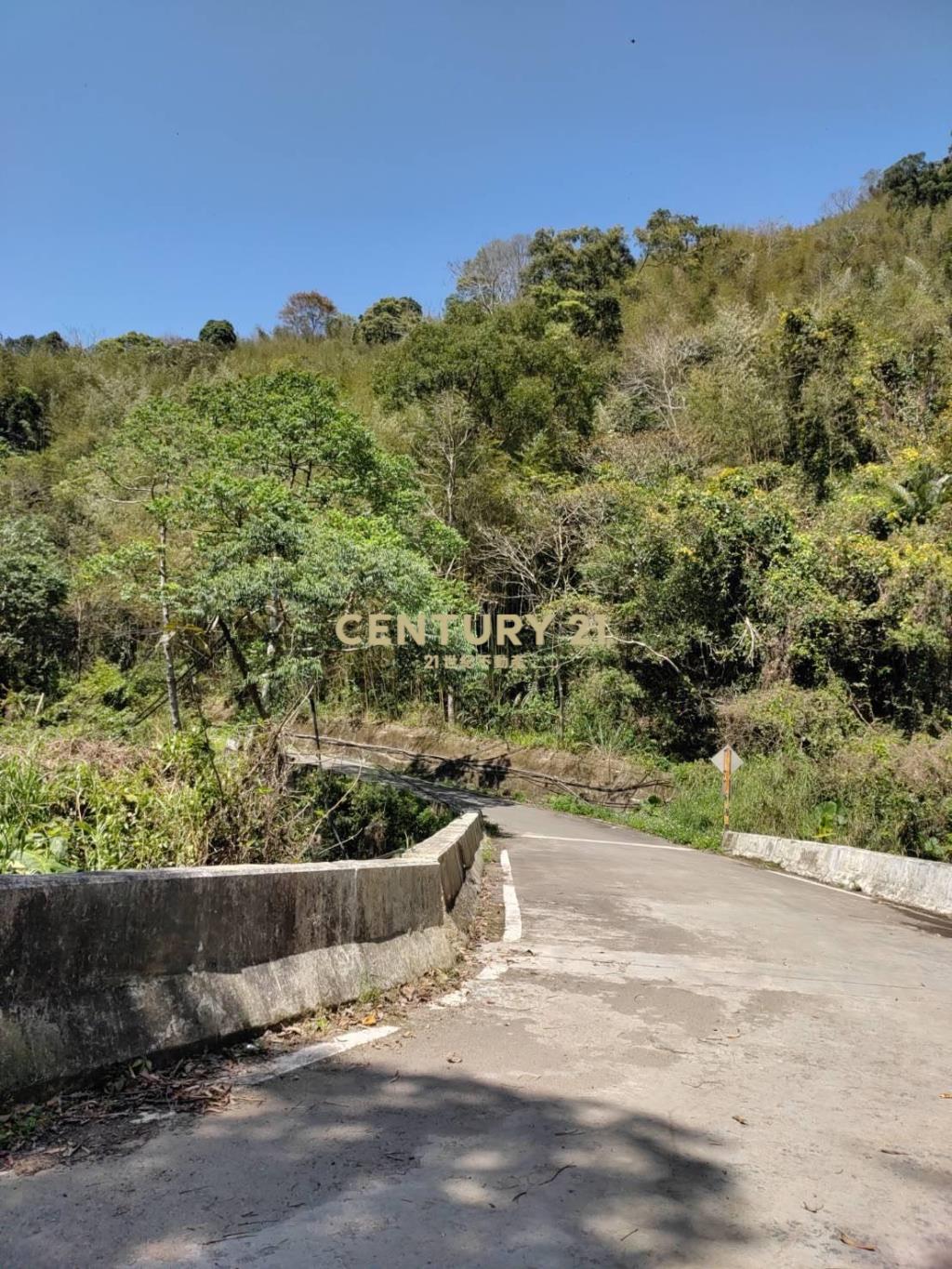 BC796桃園低總價高報酬原民地