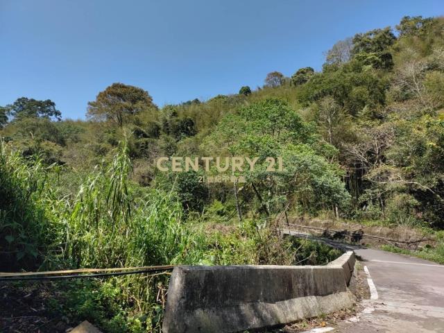 BC797桃園低總價平坦農地