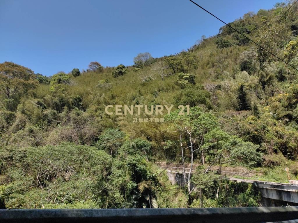 BC797桃園低總價平坦農地