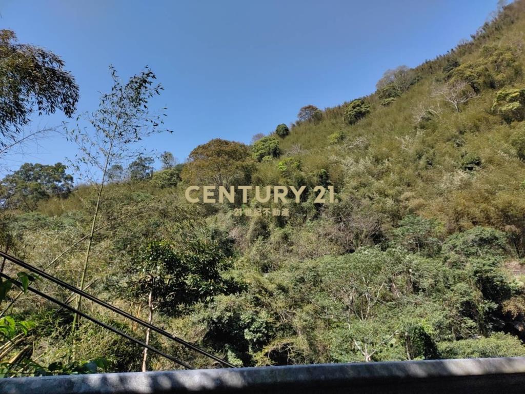 BC797桃園低總價平坦農地