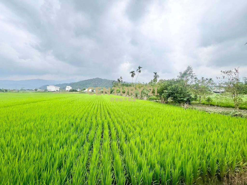 BC770台2庚延長線旁足坪農地