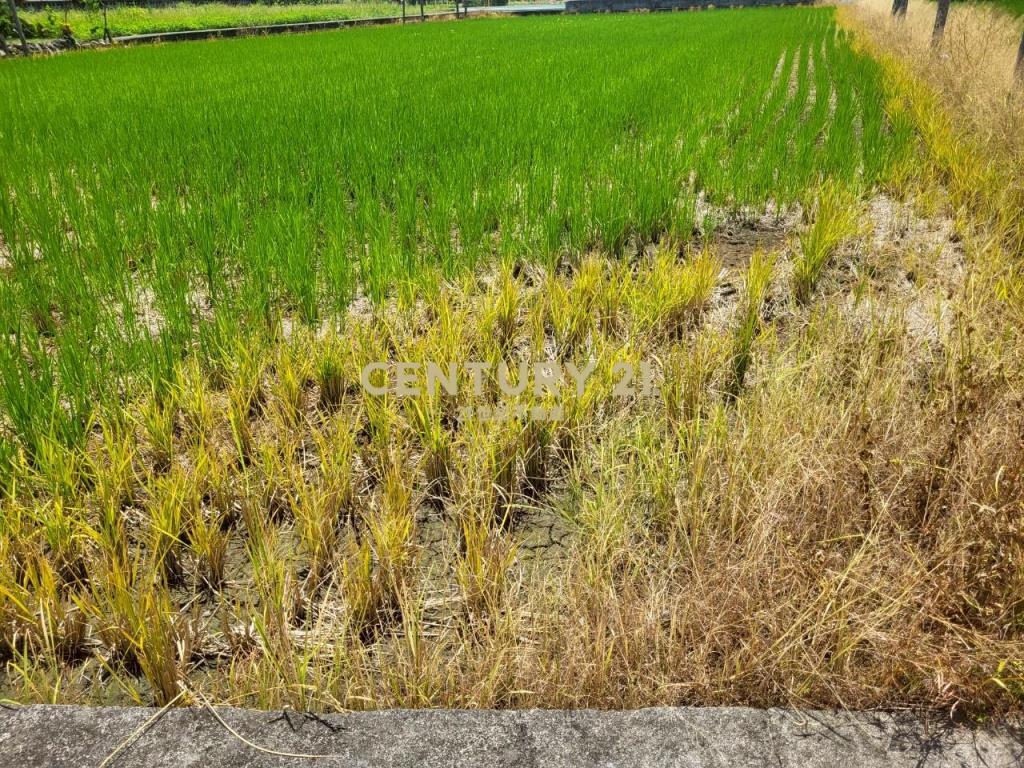 BC813宜市12M路旁-理想大地