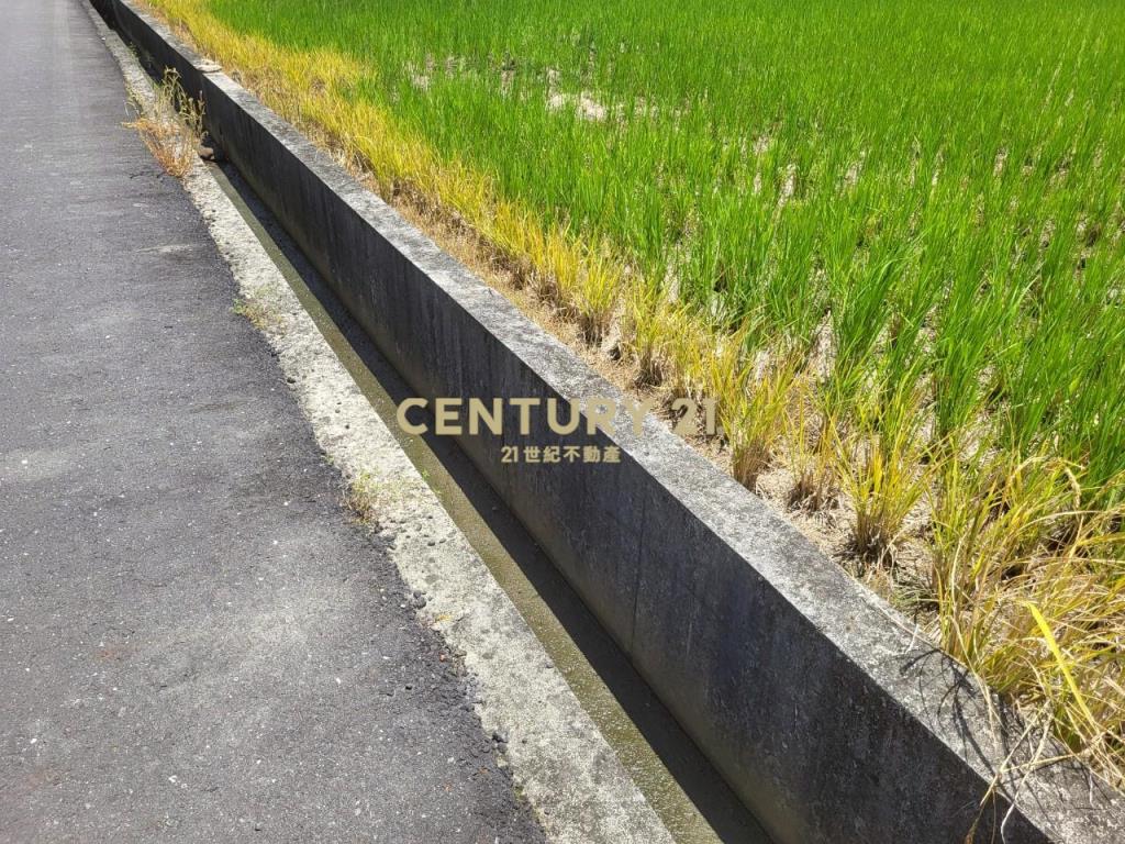 BC813宜市12M路旁-理想大地