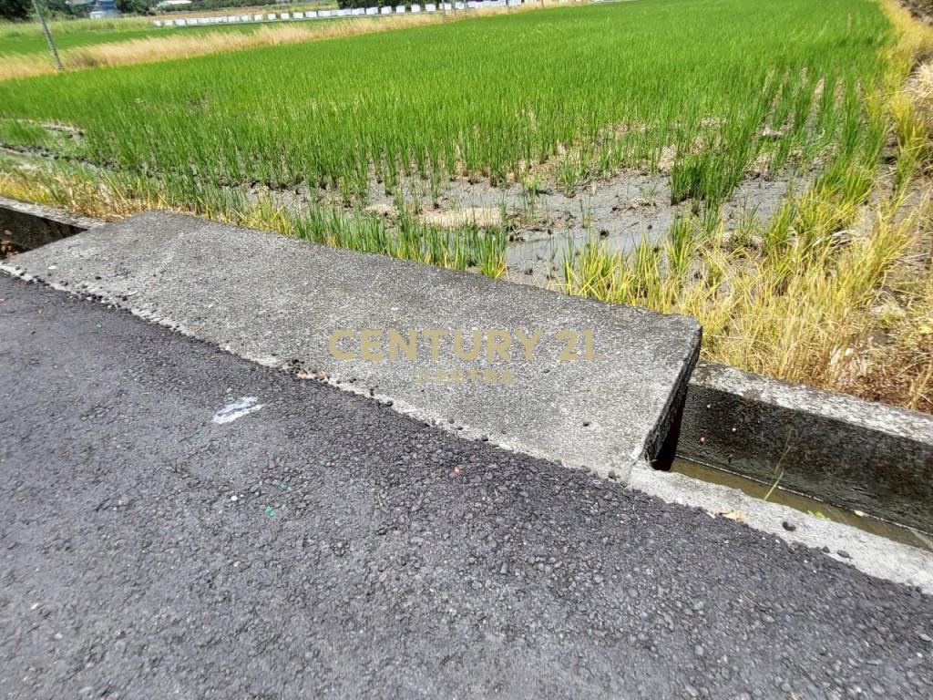 BC813宜市12M路旁-理想大地