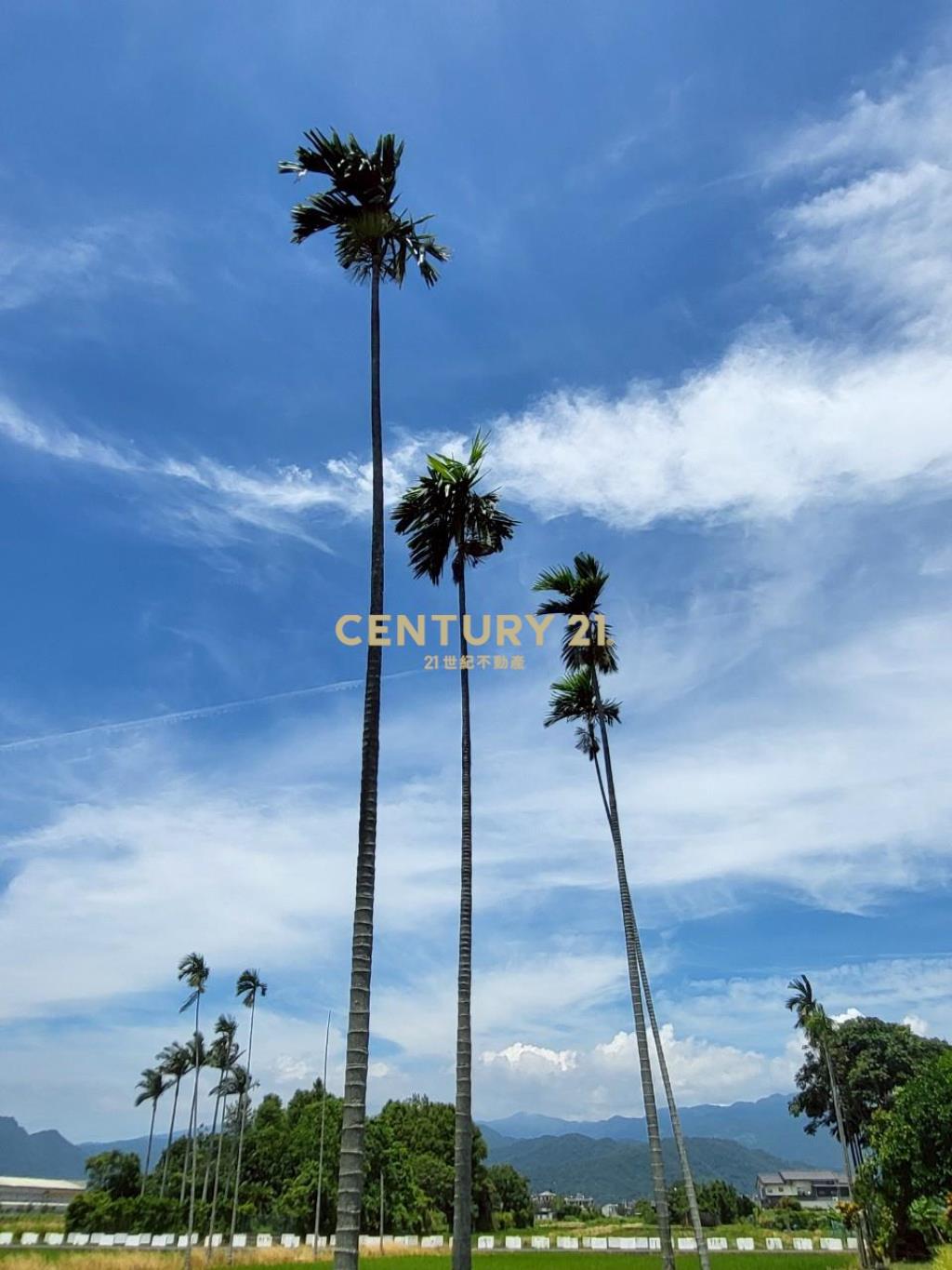 BC813宜市12M路旁-理想大地