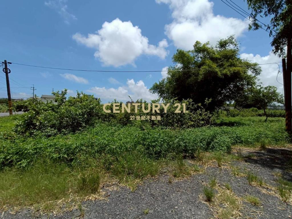 BD693頭城家商旁有排水農建地