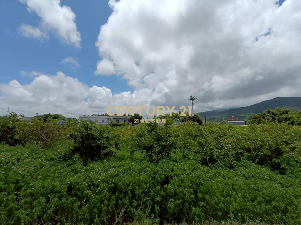 BD693頭城家商旁有排水農建地