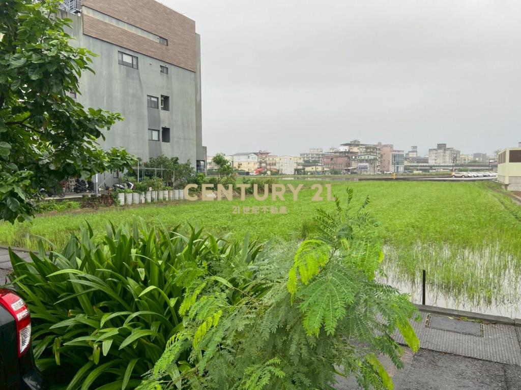 BD696陽明路工業用地