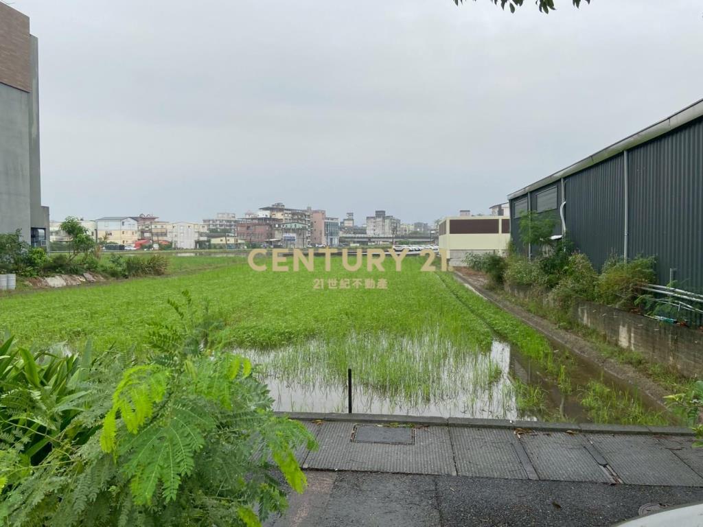 BC818陽明路足坪農地