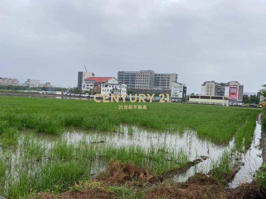 BC818陽明路足坪農地