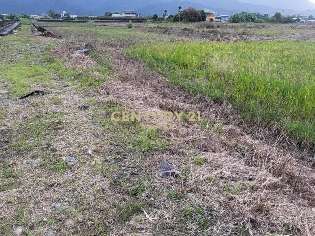 BC821人和便宜美田